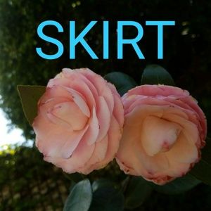 Skirts